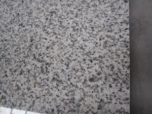 Гуандун G655 светло серый гранит Плитка полы с полированной или обожженные поверхности для продажи