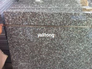 Bainbrook Brown G664 Гранитные полированные плитки